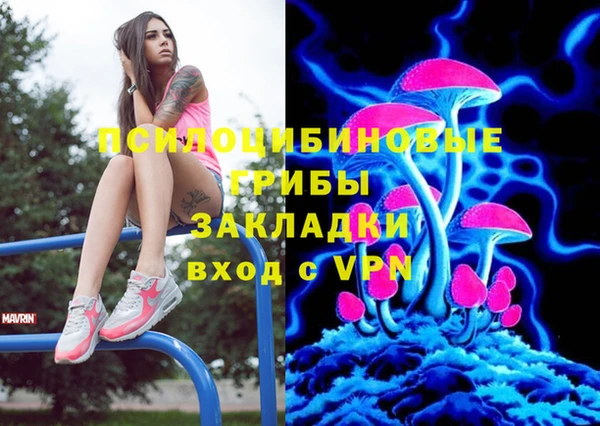 ALPHA PVP Алексеевка