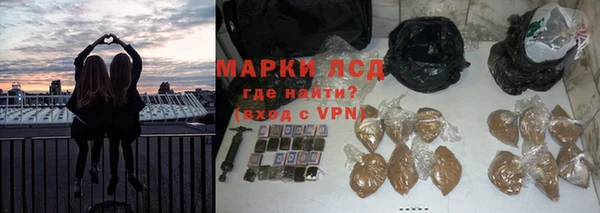 эйфоретик Покачи