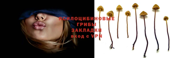 мескалин Алзамай